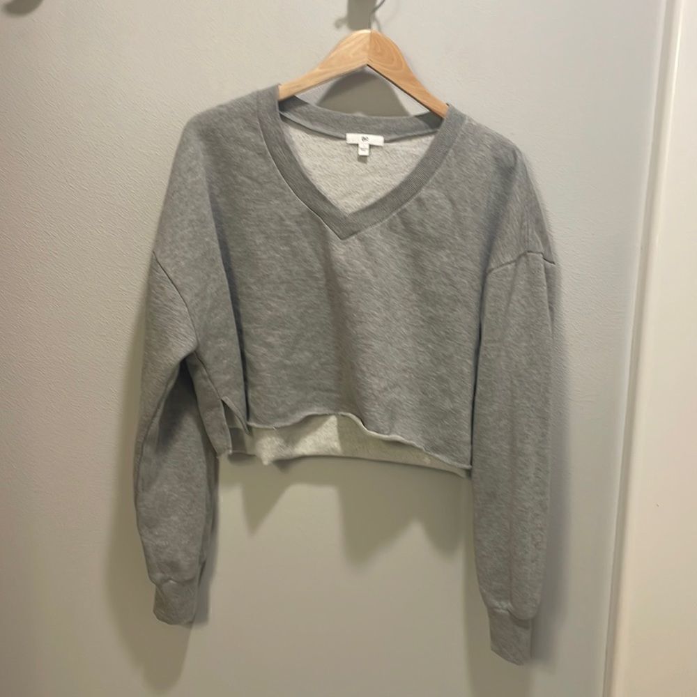 𝅺nwot Brass Plum teen crop v neck grey cropped sweatshirt